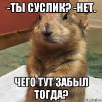 -ты суслик? -нет. чего тут забыл тогда?