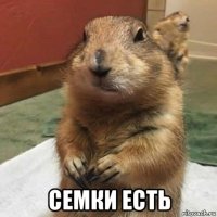  семки есть