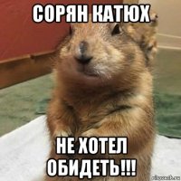 сорян катюх не хотел обидеть!!!