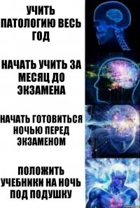 Учить патологию весь год Начать учить за месяц до экзамена начать готовиться ночью перед экзаменом Положить учебники на ночь под подушку