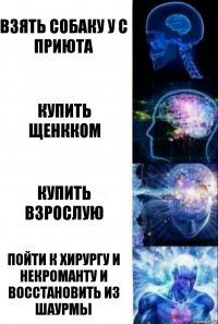 Взять собаку у с приюта купить щенкком купить взрослую пойти к хирургу и некроманту и восстановить из шаурмы