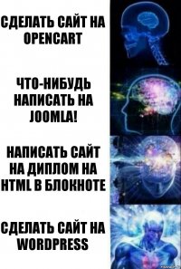 Сделать сайт на OpenCart Что-нибудь написать на Joomla! Написать сайт на диплом на HTML в блокноте Сделать сайт на WordPress