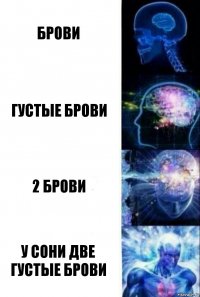 Брови Густые брови 2 брови У сони две густые брови