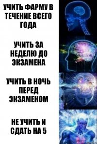 Учить фарму в течение всего года Учить за неделю до экзамена Учить в ночь перед экзаменом Не учить и сдать на 5