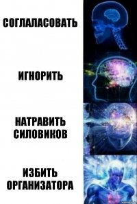 Соглаласовать Игнорить Натравить силовиков Избить организатора