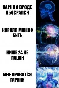 Парни я вроде обосрался короля можно бить ниже 24 не пацан мне нравятся гарики