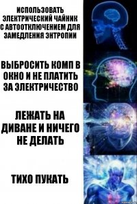 Использовать электрический чайник с автоотключением для замедления энтропии выбросить комп в окно и не платить за электричество лежать на диване и ничего не делать тихо пукать