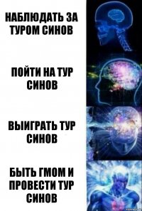 Наблюдать за туром синов Пойти на тур синов Выиграть тур синов Быть гмом и провести тур синов