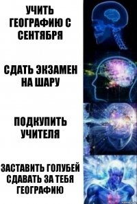 Учить географию с сентября Сдать экзамен на шару Подкупить учителя Заставить голубей сдавать за тебя географию