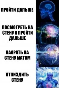 пройти дальше посмотреть на стену и пройти дальше наорать на стену матом отпиздить стену