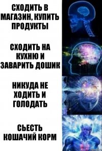 Сходить в магазин, купить продукты Сходить на кухню и заварить дошик Никуда не ходить и голодать Сьесть кошачий корм