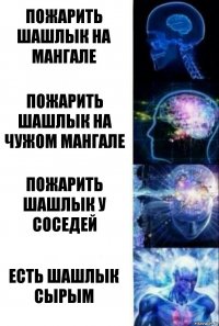 Пожарить шашлык на мангале Пожарить шашлык на чужом мангале Пожарить шашлык у соседей Есть шашлык сырым