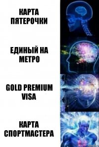 карта пятерочки единый на метро gold premium visa карта спортмастера