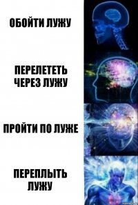 Обойти лужу Перелететь через лужу Пройти по луже Переплыть лужу