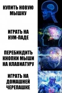 Купить новую мышку Играть на Нум-Паде Перебиндить кнопки мыши на клавиатуру Играть на домашней черепашке