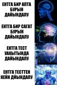 ентга бир апта бурын дайындалу ентга бир сагат бурын дайындалу ентга тест уакытында дайындалу ентга тесттен кейн дйындалу