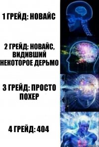 1 грейд: новайс 2 грейд: новайс, видивший некоторое дерьмо 3 грейд: просто похер 4 грейд: 404