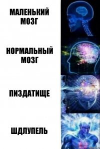 Маленький мозг Нормальный мозг Пиздатище Шдлупель