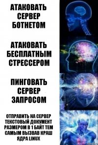 Атаковать сервер ботнетом Атаковать бесплатным стрессером Пинговать сервер запросом Отправить на сервер текстовый документ размером в 1 байт тем самым вызвав краш ядра Linux