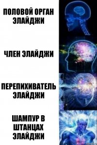 ПОЛОВОЙ ОРГАН ЭЛАЙДЖИ ЧЛЕН ЭЛАЙДЖИ ПЕРЕПИХИВАТЕЛЬ ЭЛАЙДЖИ ШАМПУР В ШТАНЦАХ ЭЛАЙДЖИ