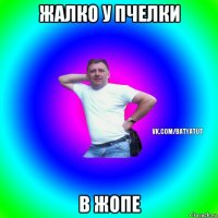 жалко у пчелки в жопе