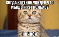 когда котенок увидел что мышь жрет колбасу ничоси