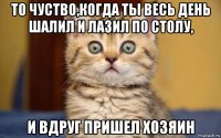 то чуство,когда ты весь день шалил и лазил по столу, и вдруг пришел хозяин