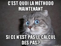 c'est quoi la méthodo maintenant si ce n'est pas le calcul des pas?