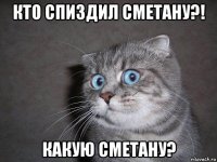 кто спиздил сметану?! какую сметану?