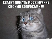 хватит ломать моск мурику своими вопросами !!! 