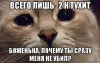 всего лишь -2 к тухит боженька, почему ты сразу меня не убил?