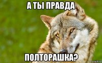 а ты правда полторашка?