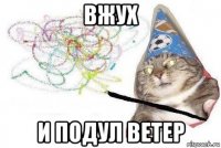 вжух и подул ветер