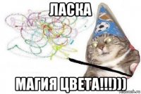 ласка магия цвета!!!)))