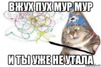 вжух пух мур мур и ты уже не утала