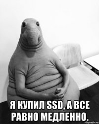  я купил ssd, а все равно медленно.