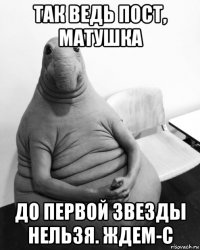 так ведь пост, матушка до первой звезды нельзя. ждем-с