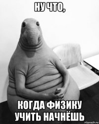 ну что, когда физику учить начнёшь