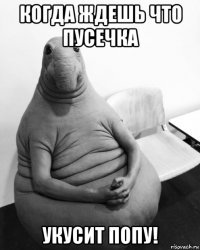 когда ждешь что пусечка укусит попу!