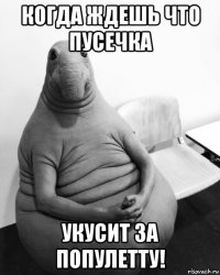 когда ждешь что пусечка укусит за популетту!