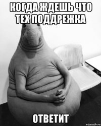 когда ждешь что тех поддрежка ответит