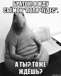 браток! я жду съёмок "поля чудес". а ты? тоже ждёшь?