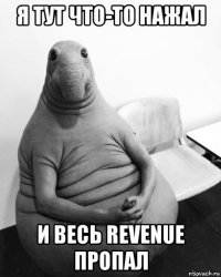 я тут что-то нажал и весь revenue пропал