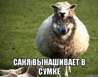  саня вынашивает в сумке