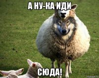 а ну-ка иди сюда!