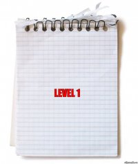 Level 1