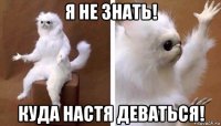 я не знать! куда настя деваться!