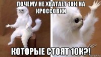 почему не хватает 10к на кроссовки которые стоят 10к?!