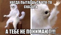 когда пытаешься что-то сказать а тебе не понимают!!!