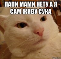 папи мами нету а я сам живу сука 